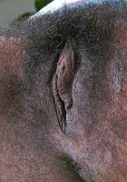 ATK Exotics: Felicia (Felicia in black women)