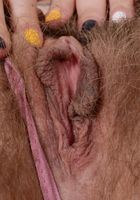 Felicia Fisher in scary hairy, Felicia Fisher (fel024) ATK Natural & Hairy: Felicia Fisher (Felicia Fisher in scary hairy)