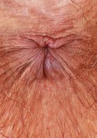 Felicia Fisher spreads her holes, Felicia Fisher (fel024) ATK Natural & Hairy: Felicia Fisher (Felicia Fisher spreads her holes)