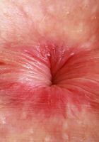 ATK Natural & Hairy: Fiona Peaches (Fiona Peaches is a doll in hot pink)