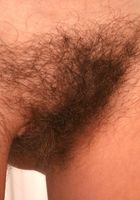 Flower from ATK Archives