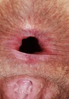 ATK Natural & Hairy: Gigi (Gigi Outdoor Exposure)