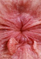 ATK Galleria: Gigi Sweets (Gigi Sweets is looking her most alluring)