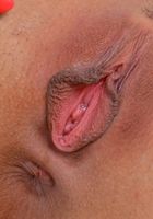 Gina Valentine's soft body, Gina Valentina (gin058) ATK Exotics: Gina Valentina (Gina Valentine's soft body)