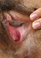 ATK Exotics: Gwenn (Gwenn in black women)