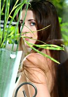 Haley in artistic, Haley (hal006) ATK Premium: Haley (Haley in artistic)