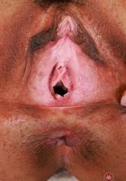 Hazel Heart from ATK Exotics