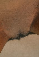 ATK Exotics: Helena (Helena in upskirts and panties)