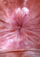 ATK Exotics: Isabella Jules (Isabella Jules is getting wet for you)