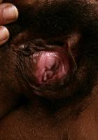 Issabella shows off her ebony body and generous body hair., Issabella (iss002) ATK Exotics: Issabella (Issabella shows off her ebony body and generous body hair.)