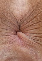 ATK Exotics: Jackie Rogen (Jackie Rogen in latinas)