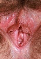 ATK Petites: Jackie Hoff (Jackie Hoff tries on some sheer lacey lingerie)