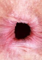 ATK Petites: Jackie Hoff (Check out Jackie Hoff in lacey lingerie)