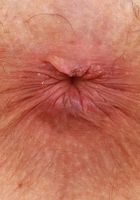 ATK Galleria: Jackie Hoff (Jackie Hoff Strips and Spreads Outdoors)