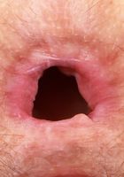 Jackie Hoff Bombshell Hairy Pussy Spreads, Jackie Hoff (jac041) ATK Natural & Hairy: Jackie Hoff (Jackie Hoff Bombshell Hairy Pussy Spreads)