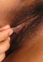 ATK Exotics: Janet (Janet in asians)