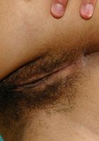 ATK Exotics: Janelle (Janelle in mediterranean)