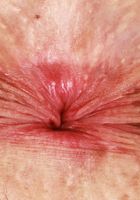 Jasmine Wile Big Tits Exotic Pussy, Jasmine Wilde (jas061) ATK Exotics: Jasmine Wilde (Jasmine Wile Big Tits Exotic Pussy)