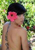 Jayden from ATK Archives