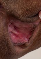 ATK Petites: Amber Summers (Amber Summers in latinas)