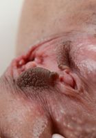 ATK Exotics: Jericha Jem (Jericha Jem in latinas)