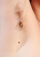 Joe in hairy fun, Joe (joe011) ATK Natural & Hairy: Joe (Joe in hairy fun)