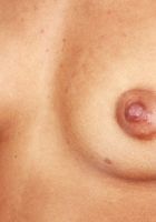 ATK Exotics: Journey Love (Journey Love knows you'll love her firm tits and tight ass)