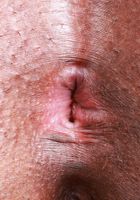 Journey Love from ATK Exotics