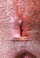 ATK Exotics: Journey Love (Journey Love is loving her time in front of the camera)