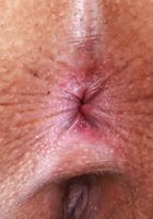 Kate Legend from ATK Exotics