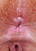 Katrina Karson from ATK Exotics