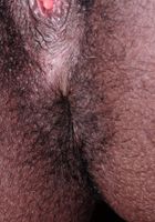 Hairy Kiana spreads her black bush, Kiana Love (kia003) ATK Archives: Kiana Love (Hairy Kiana spreads her black bush)