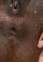 ATK Exotics: Kinsley Karter (Kinsley Karter in black women)