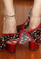 ATK Natural & Hairy: Kiwi (Kiwi in exotic and hairy)