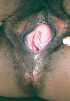 Latrese in black women, Latrese (lat005) ATK Exotics: Latrese (Latrese in black women)