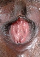 ATK Exotics: Layton Benton (Black model Layton makes her debut)