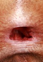 ATK Galleria: Laynee James (Laynee James is slippery when wet)