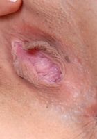 ATK Exotics: Leah (Leah in latinas)