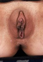 Leila Mills from ATK Petites