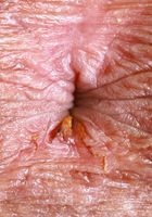 Leila Mills from ATK Petites