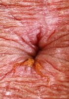 ATK Petites: Leila Mills (Leila Mills is looking fresh and perky)