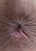 ATK Galleria: Lily Adams (Lily Adams Date Spreads)