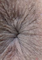 ATK Galleria: Lily Adams (Lily Adams Virtual Date Spreads)