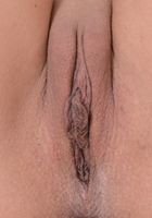 Lilly Hall in latinas, Lilly Hall (lil090) ATK Exotics: Lilly Hall (Lilly Hall in latinas)