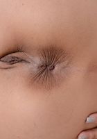 ATK Exotics: Lilly Hall (Lilly Hall in latinas)