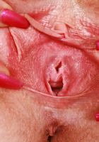 ATK Natural & Hairy: Lily Lay (Lily Lay Spreading)