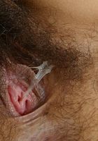 ATK Exotics: Lin (Lin in latinas)