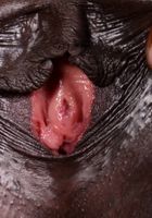 ATK Exotics: London Blaq (London Blaq takes off her hot pink panties)