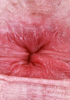 ATK Galleria: Lucy Foxx (Lucy Foxx Is spreading so much pink)