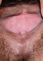 ATK Natural & Hairy: Lulu Sparkle (Lulu Sparkle in exotic and hairy)